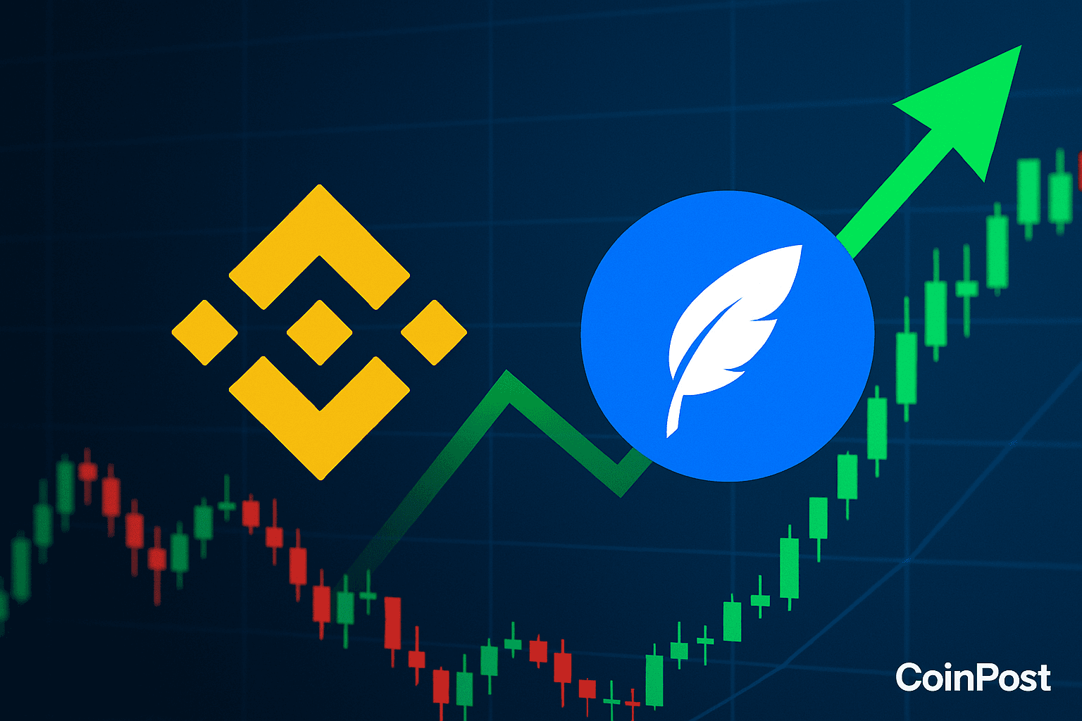 Binance Addresses User Restrictions in PLUME HODLer Airdrop Participation