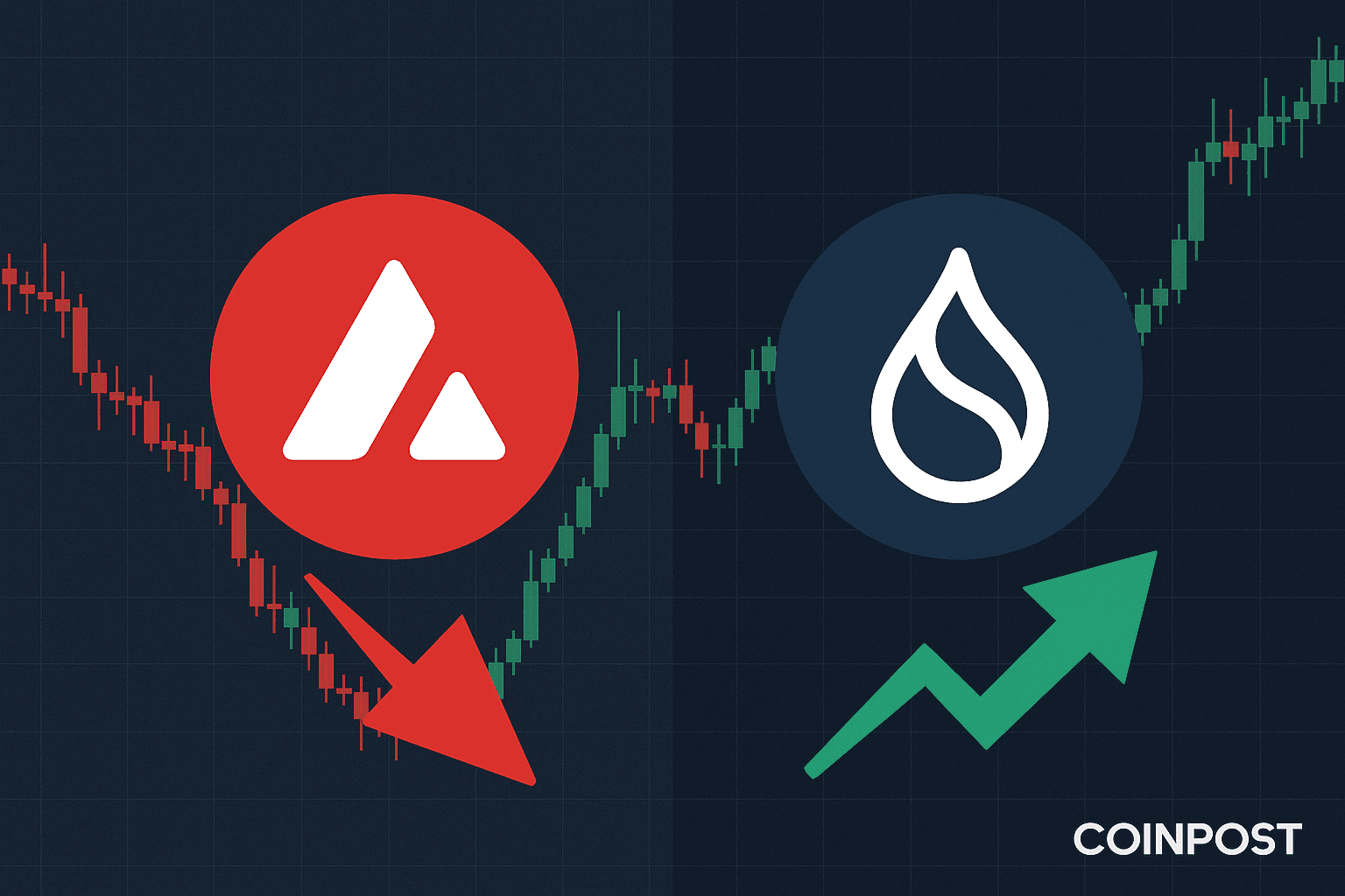 Altcoin Preference Poll Pits AVAX Against SUI