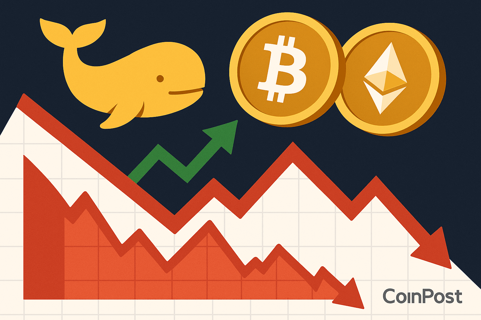 Whales Accumulate Bitcoin and Ethereum Amid Market Downturn