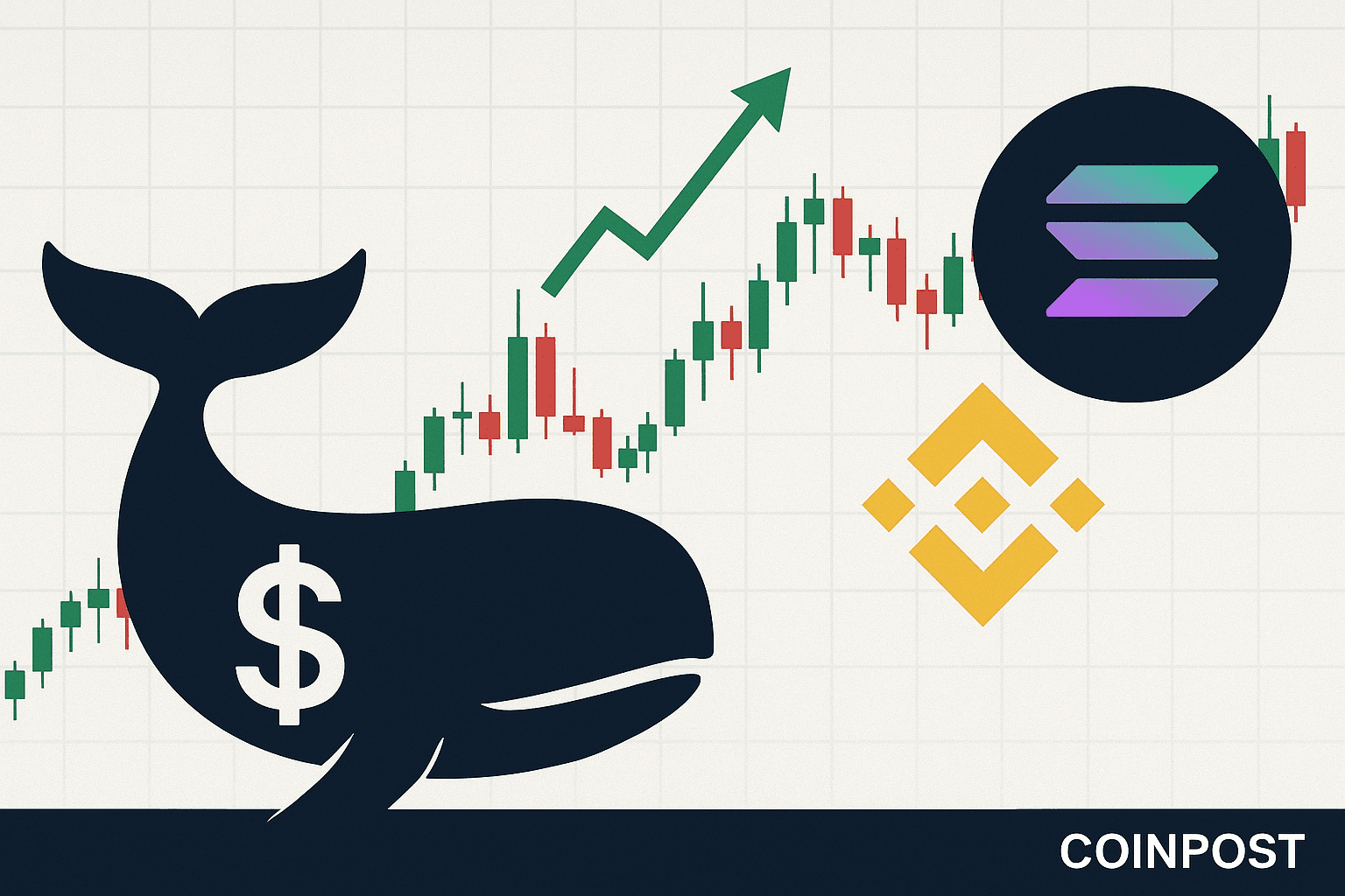 Whale Transfers $18.11 Million in Solana to Binance