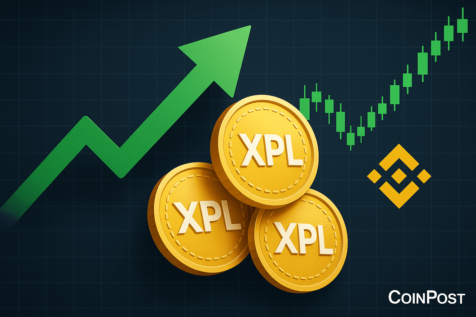 Whale Buys $873K in XPL Tokens on BSC, Moves Entire Holding to Binance